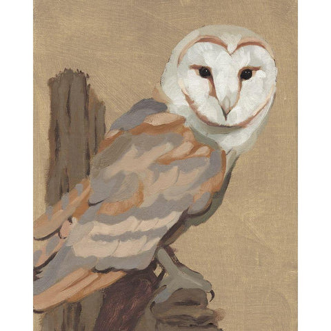 Common Barn Owl Portrait I Black Modern Wood Framed Art Print by Green, Jacob