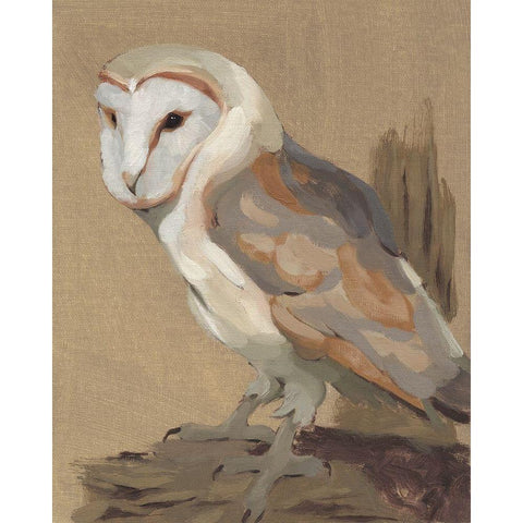 Common Barn Owl Portrait II Gold Ornate Wood Framed Art Print with Double Matting by Green, Jacob