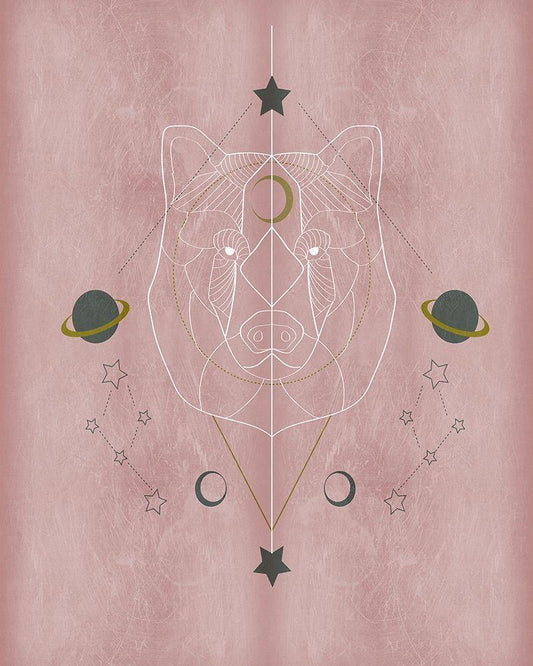 Image Only