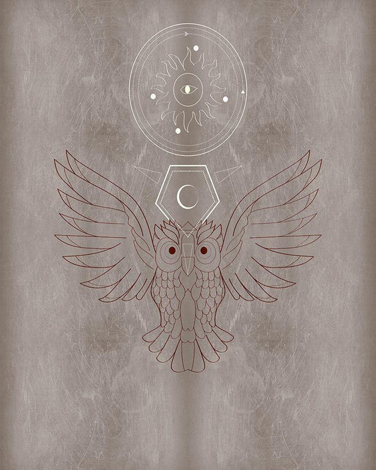 Image Only