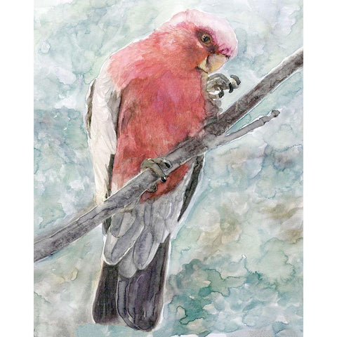 Tropic Parrot I White Modern Wood Framed Art Print by Stellar Design Studio