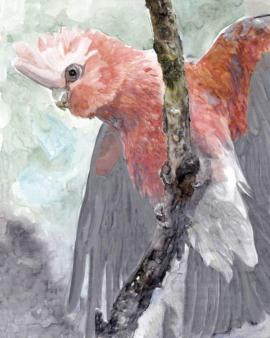 Tropic Parrot II White Modern Wood Framed Art Print with Double Matting by Stellar Design Studio
