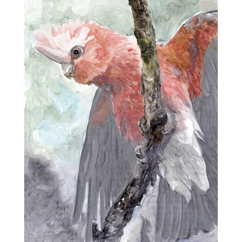 Tropic Parrot II White Modern Wood Framed Art Print by Stellar Design Studio