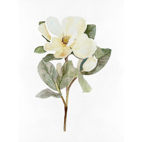 White Blossom VI Gold Ornate Wood Framed Art Print with Double Matting by Stellar Design Studio