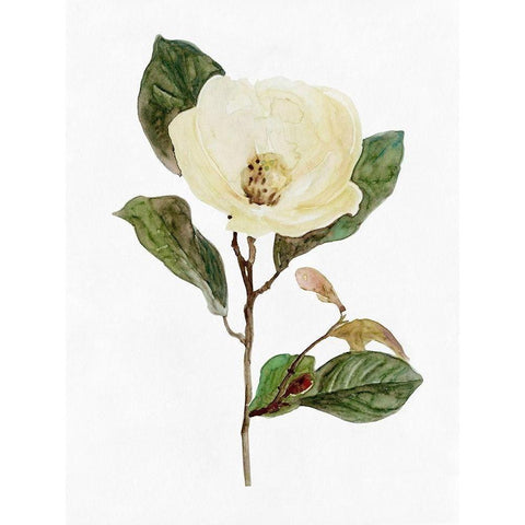 White Blossom VII Gold Ornate Wood Framed Art Print with Double Matting by Stellar Design Studio
