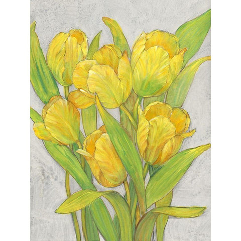 Yellow Tulips I Black Modern Wood Framed Art Print with Double Matting by OToole, Tim