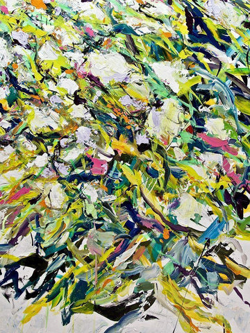 White Flowers White Modern Wood Framed Art Print with Double Matting by Friedlander, Allan