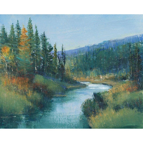 Trout Stream I Black Modern Wood Framed Art Print with Double Matting by OToole, Tim