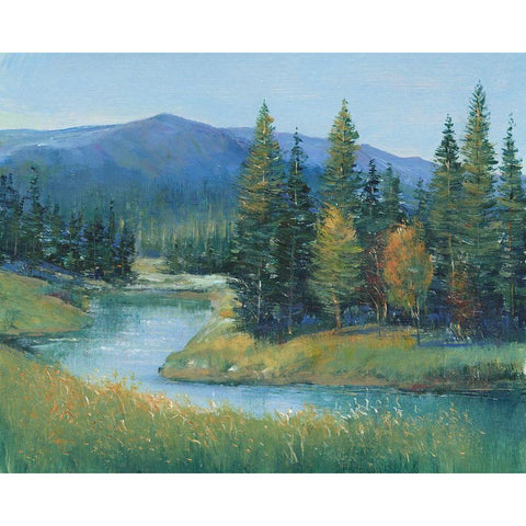 Trout Stream II Black Modern Wood Framed Art Print with Double Matting by OToole, Tim