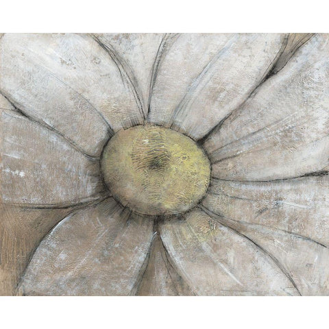 Close-Up Daisy II White Modern Wood Framed Art Print by OToole, Tim