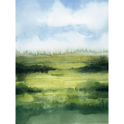 Fenland Glow I Black Modern Wood Framed Art Print with Double Matting by Popp, Grace