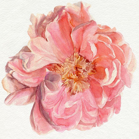 Blossomed Peony I Gold Ornate Wood Framed Art Print with Double Matting by Parker, Jennifer Paxton