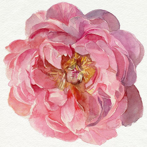 Blossomed Peony II Gold Ornate Wood Framed Art Print with Double Matting by Parker, Jennifer Paxton