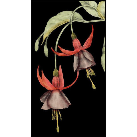 Graphic Fuchsia V Black Modern Wood Framed Art Print by Goldberger, Jennifer