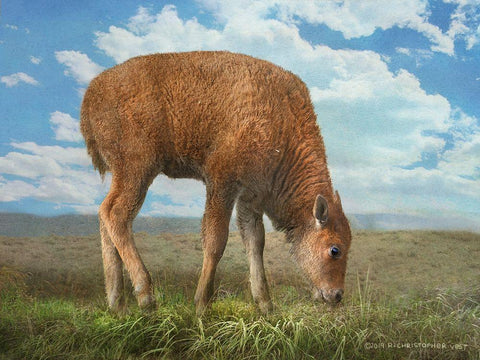 In the Meadow II Black Ornate Wood Framed Art Print with Double Matting by Vest, Chris