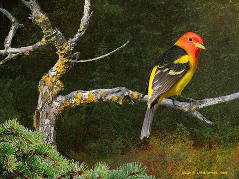 On the Branch I Black Ornate Wood Framed Art Print with Double Matting by Vest, Chris