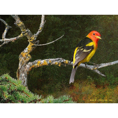 On the Branch I Gold Ornate Wood Framed Art Print with Double Matting by Vest, Chris