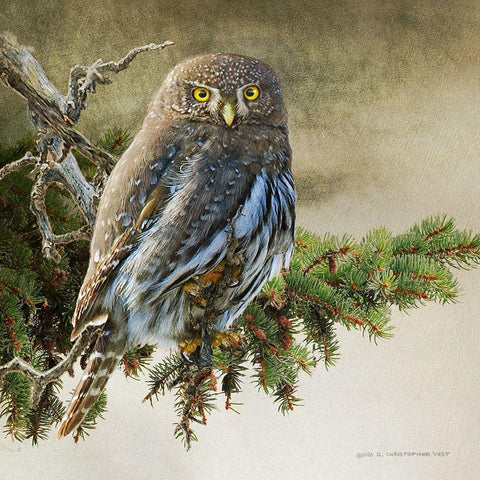 On the Branch VI Black Modern Wood Framed Art Print by Vest, Chris