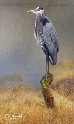 In the Water I White Modern Wood Framed Art Print with Double Matting by Vest, Chris