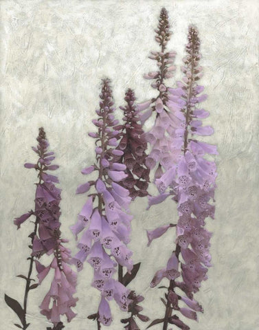 Non-Embellished Foxgloves I Black Ornate Wood Framed Art Print with Double Matting by Zarris, Chariklia