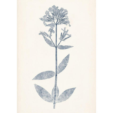 Navy Botanicals V White Modern Wood Framed Art Print by Vision Studio