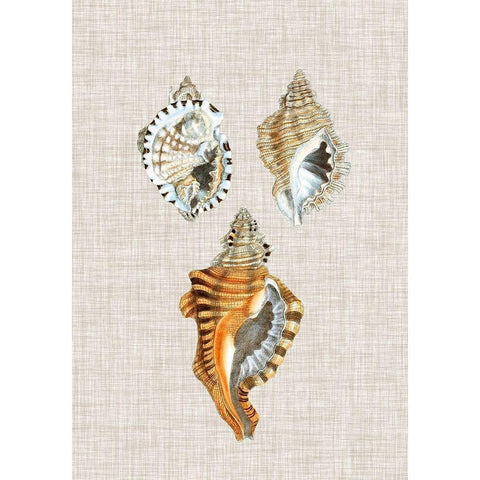 Antique Shells on Linen III Gold Ornate Wood Framed Art Print with Double Matting by Vision Studio