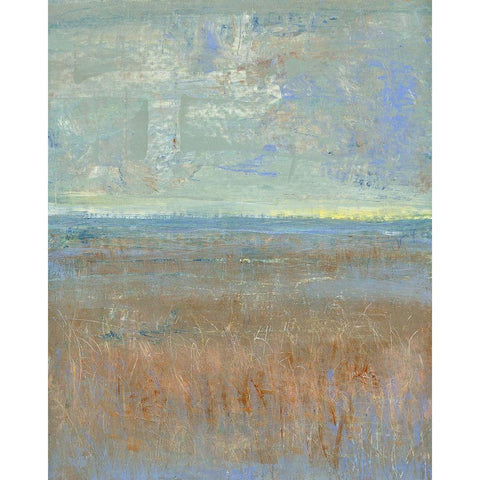 Evening Marsh I Black Modern Wood Framed Art Print with Double Matting by OToole, Tim