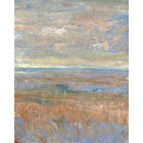 Evening Marsh II White Modern Wood Framed Art Print by OToole, Tim