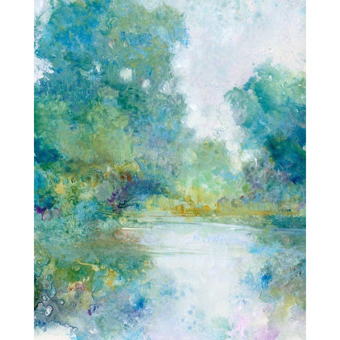 Tranquil Stream I Black Modern Wood Framed Art Print with Double Matting by OToole, Tim