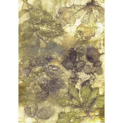 Eco Print I Black Modern Wood Framed Art Print by Phillips, Kathryn