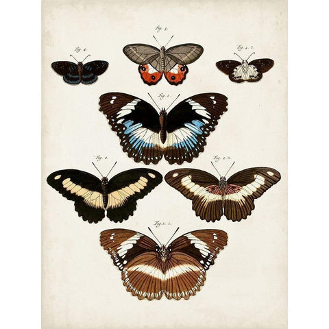 Vintage Butterflies II White Modern Wood Framed Art Print by Vision Studio