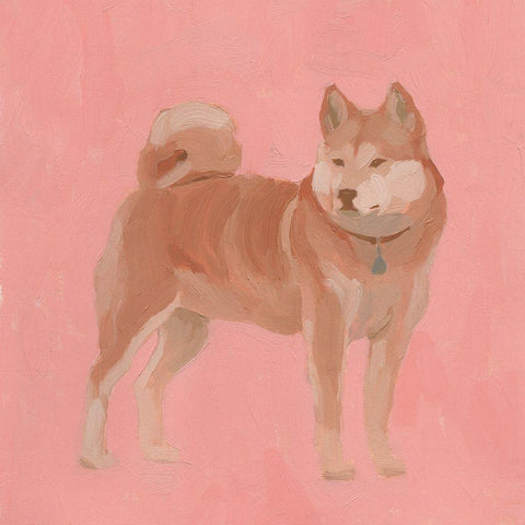 Shiba Inu I White Modern Wood Framed Art Print by Green, Jacob