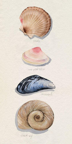 Shore Things I White Modern Wood Framed Art Print with Double Matting by Popp, Grace