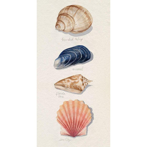 Shore Things II Gold Ornate Wood Framed Art Print with Double Matting by Popp, Grace