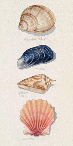 Shore Things II White Modern Wood Framed Art Print with Double Matting by Popp, Grace