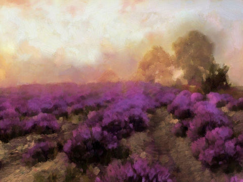 Purple Countryside I Black Ornate Wood Framed Art Print with Double Matting by Saunders, Alonzo
