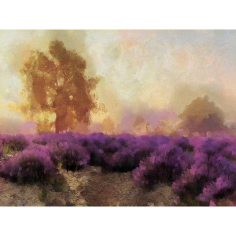 Purple Countryside II White Modern Wood Framed Art Print by Saunders, Alonzo