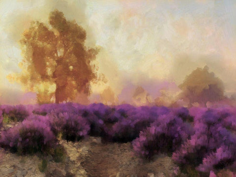 Purple Countryside II Black Ornate Wood Framed Art Print with Double Matting by Saunders, Alonzo
