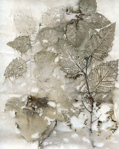 Custom Birch Leaves I Black Ornate Wood Framed Art Print with Double Matting by Phillips, Kathryn