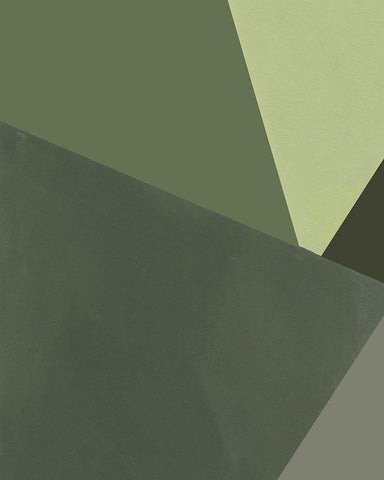 Sage Prism III Black Ornate Wood Framed Art Print with Double Matting by Green, Jacob