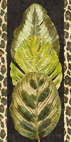 Tropic Collection V Black Ornate Wood Framed Art Print with Double Matting by Saunders, Alonzo