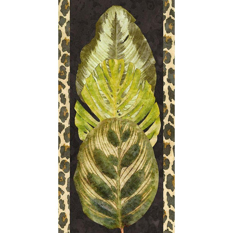 Tropic Collection V White Modern Wood Framed Art Print by Saunders, Alonzo