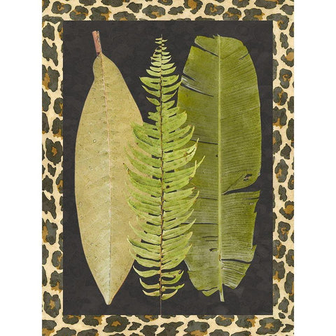 Tropic Collection VII Black Modern Wood Framed Art Print with Double Matting by Saunders, Alonzo