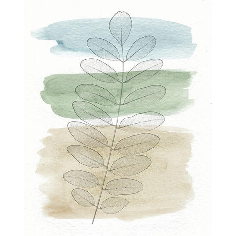 Spring Branch I Gold Ornate Wood Framed Art Print with Double Matting by Saunders, Alonzo