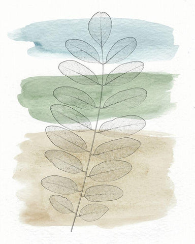 Spring Branch I White Modern Wood Framed Art Print with Double Matting by Saunders, Alonzo