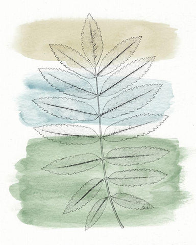 Spring Branch II White Modern Wood Framed Art Print with Double Matting by Saunders, Alonzo