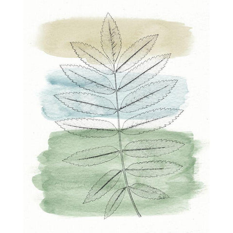 Spring Branch II White Modern Wood Framed Art Print by Saunders, Alonzo