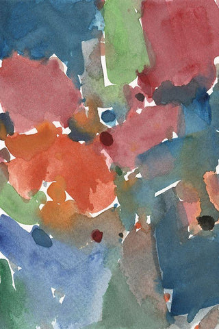 The Site Plan I Black Ornate Wood Framed Art Print with Double Matting by Dixon, Samuel