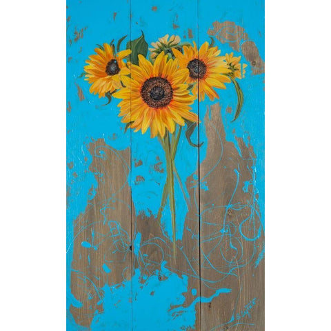 Sunflowers on Barnwood I White Modern Wood Framed Art Print by Iafrate, Sandra