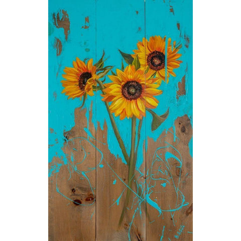 Sunflowers on Barnwood II Black Modern Wood Framed Art Print by Iafrate, Sandra